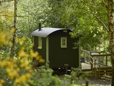 The Fish Hotel