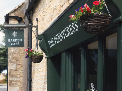 The Pennycress
