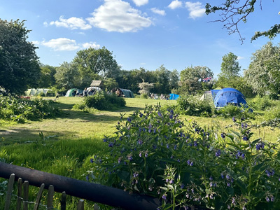 The Wildings Campsite