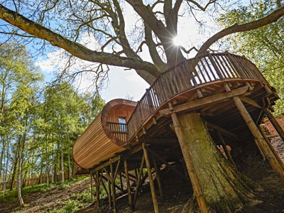 Treehouses at The Fish