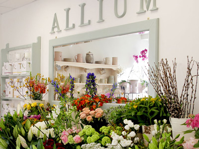 Allium Florist